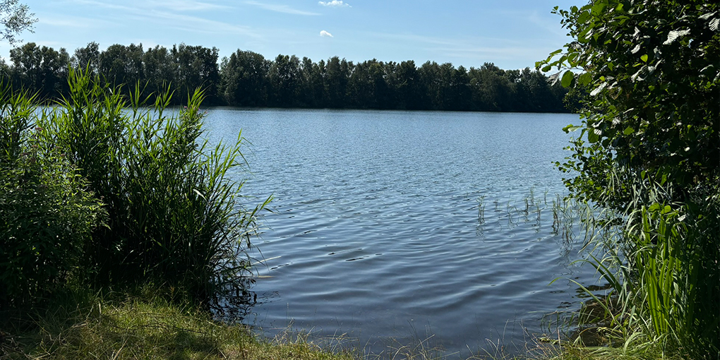 slider 3